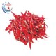 DRIED CHILIES WITH STEM